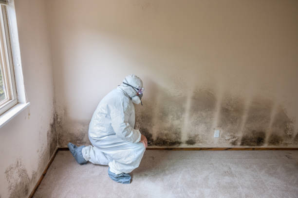 Mold Remediation for Vacation Homes in Avimor, ID